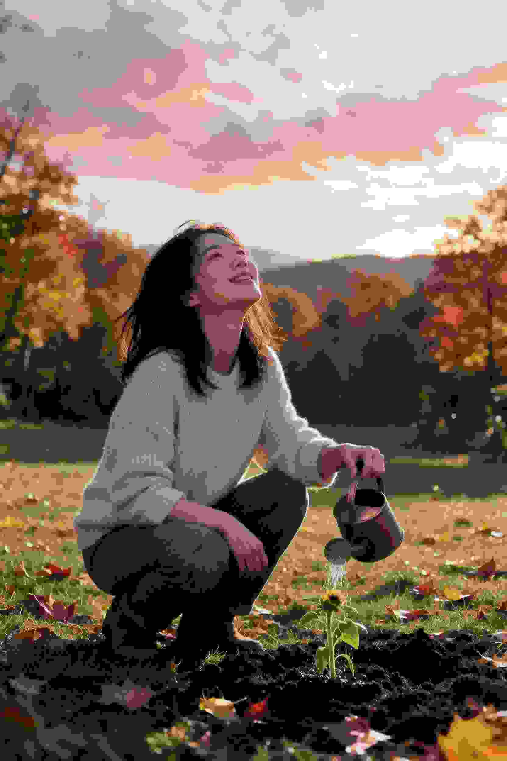 冒险季节